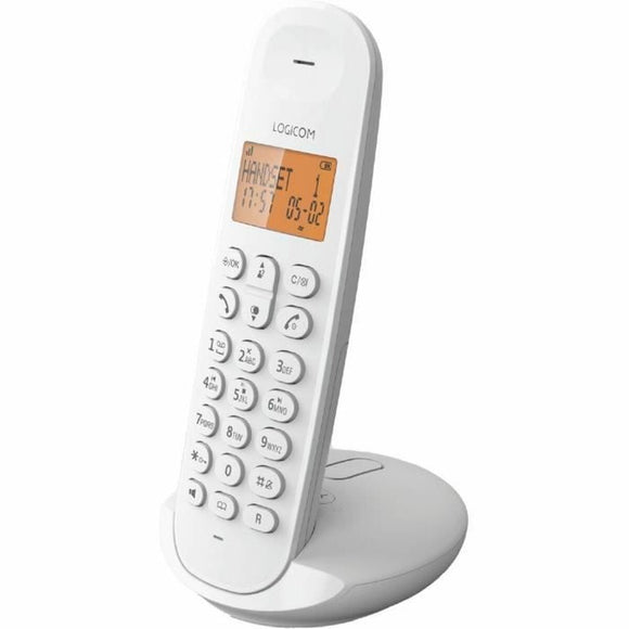 Telefonía fija y accesorios