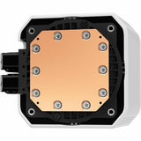 V5HDD5B1442BF5C31A4ECE95B09A3FB19C5R6636461P3