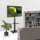 V8H3CBBE0804D548BF053DE6C1451532F97R5366481P5