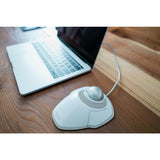 Ratón Kensington Blanco Plateado Plata - HAMISHOP07